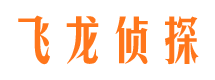 普兰出轨调查